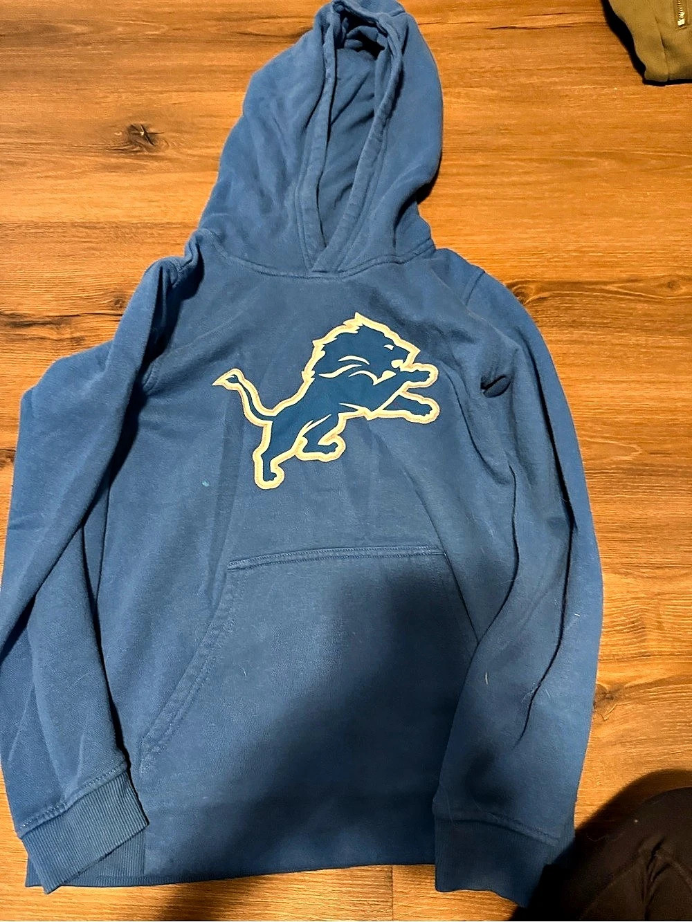 Lion Graphic Pullover Hoodie in Blue